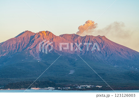 鹿児島県鹿児島市　城山公園展望台から望む夕陽に染まる桜島 123126003