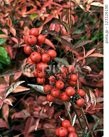 南天 123126190