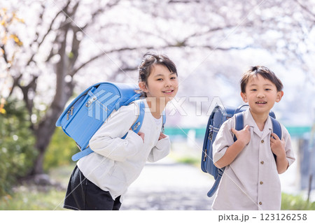 桜とランドセルを背負った小学生 123126258
