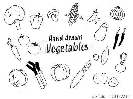 チョーク風の手描き野菜ベクターイラスト 123127233