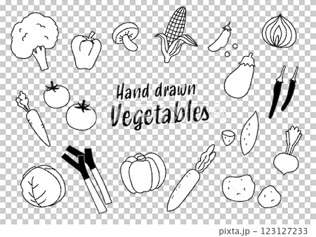 チョーク風の手描き野菜ベクターイラスト 123127233