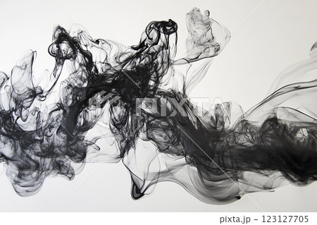 Elegant black smoke swirls create dynamic abstract patterns on a white background Elegant black smoke swirls create dynamic abstract patterns on a white background 123127705