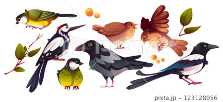 Cartoon bird collection Cartoon bird collection 123128056
