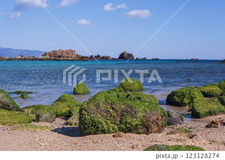 爪木崎:緑藻類がついた岩がある海岸【富士箱根伊豆国立公園】静岡県下田市 爪木崎:緑藻類がついた岩がある海岸【富士箱根伊豆国立公園】静岡県下田市 123128274