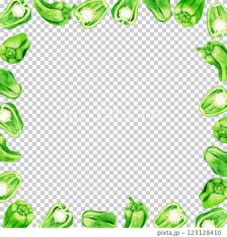 ピーマンの正方形フレーム フルーツの手描き水彩イラスト素材 ピーマンの正方形フレーム フルーツの手描き水彩イラスト素材 123128410