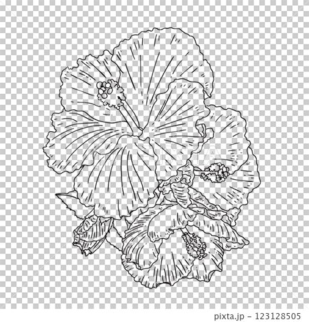 Tribal flowers Hibiscus Tribal flowers Hibiscus 123128505