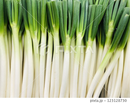 長ネギ　陳列　野菜 123128730