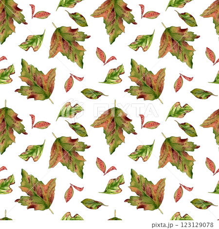 Watercolor autumn red green leaves seamless pattern isolated on white. Colorful fall leaves of maple, hawthorn, viburnum tree hand drawn in botanical sketch. Foliage repeat background painted design. 123129078