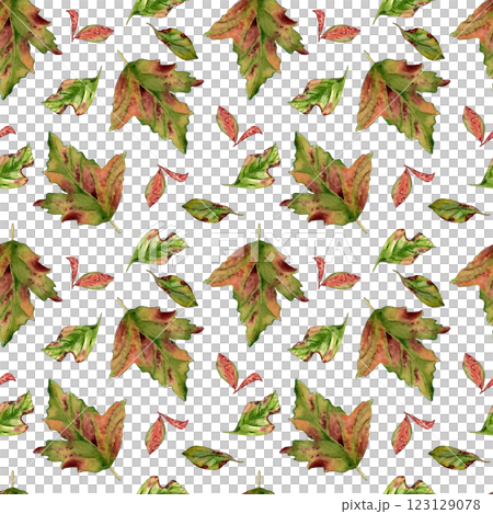 Watercolor autumn red green leaves seamless pattern isolated on white. Colorful fall leaves of maple, hawthorn, viburnum tree hand drawn in botanical sketch. Foliage repeat background painted design. 123129078