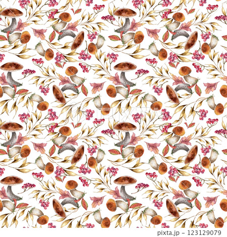 Woodland plants on repeated texture painted. Aspen mushrooms, dried herbs and red berries watercolor seamless pattern isolated. Viburnum , boletus hand drawn. Autumn plants on botanical background. Woodland plants on repeated texture painted. Aspen mushrooms, dried herbs and red berries watercolor seamless pattern isolated. Viburnum , boletus hand drawn. Autumn plants on botanical background. 123129079