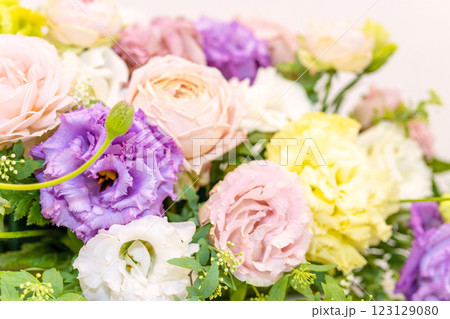 花の美しさを際立たせるクローズアップショット 花の美しさを際立たせるクローズアップショット 123129080