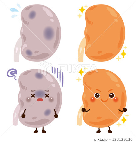 動きが鈍くなっている腎臓のキャラクターと元気な腎臓のキャラクター 123129136