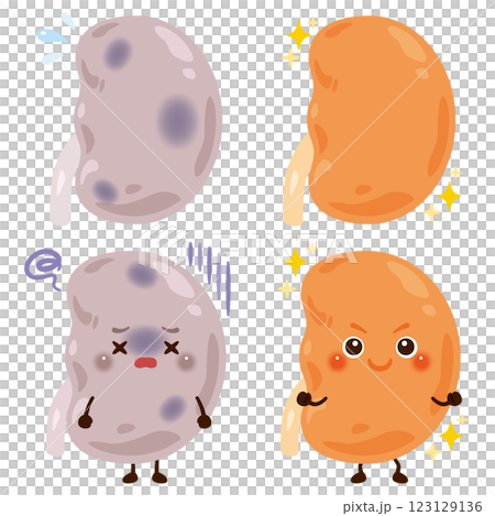 動きが鈍くなっている腎臓のキャラクターと元気な腎臓のキャラクター 123129136
