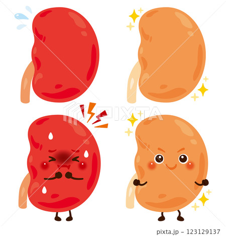 動きが過剰になっている腎臓のキャラクターと元気な腎臓のキャラクター 123129137