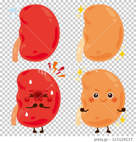 動きが過剰になっている腎臓のキャラクターと元気な腎臓のキャラクター 123129137