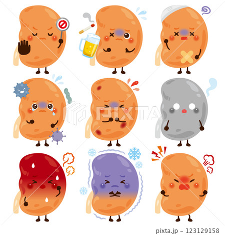 様々な状態の腎臓のキャラクター 様々な状態の腎臓のキャラクター 123129158