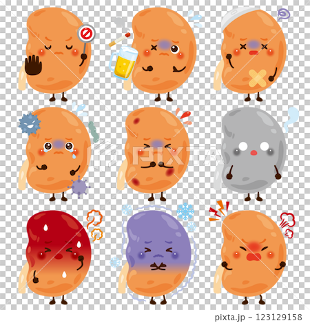 Kidney characters in various states 123129158