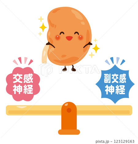 バランスの取れた自律神経と健康的な腎臓のキャラクターイラスト バランスの取れた自律神経と健康的な腎臓のキャラクターイラスト 123129163