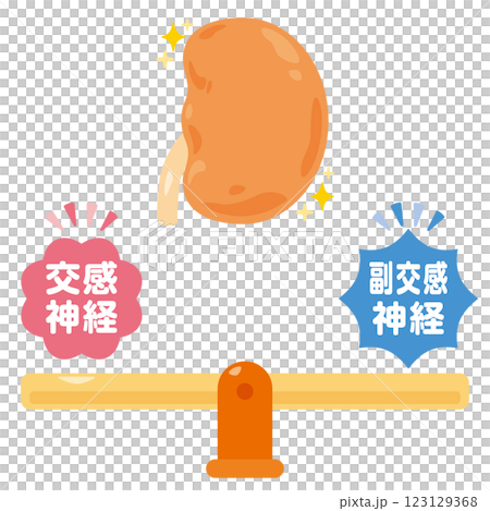 平衡的自主神經系統和健康的腎臟的圖示 平衡的自主神經系統和健康的腎臟的圖示 123129368