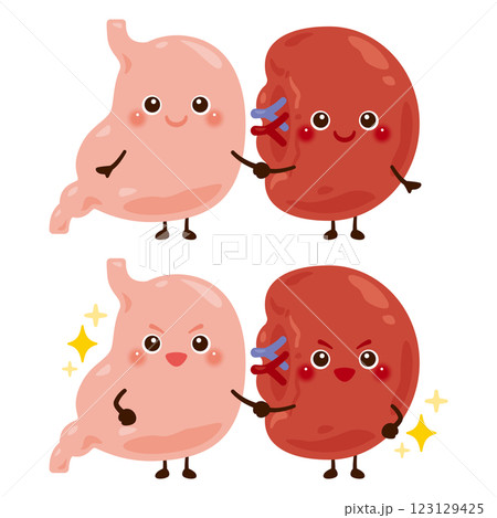 手を繋いだ脾臓と胃のキャラクター 123129425
