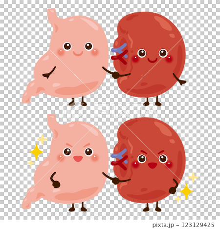 手を繋いだ脾臓と胃のキャラクター 123129425