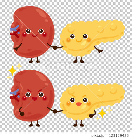 手を繋いだ脾臓と膵臓のキャラクター 123129426