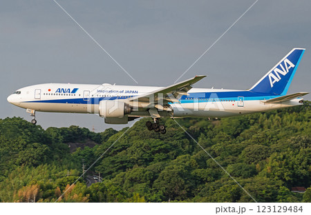 ANA B777福岡空港アプローチ 123129484
