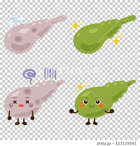 A character with a sluggish gallbladder and a character with a lively gallbladder A character with a sluggish gallbladder and a character with a lively gallbladder 123129541