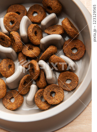 Dry dog food in slow feeder bowl preventing gulping and improving digestion Dry dog food in slow feeder bowl preventing gulping and improving digestion 123129565