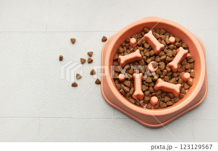 Dry pet food is in a slow feeder bowl on a tiled floor Dry pet food is in a slow feeder bowl on a tiled floor 123129567