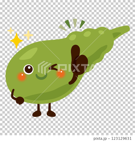 グッドサインを出す胆嚢のキャラクターイラスト 123129631