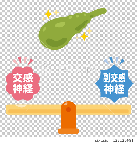 Illustration of a balanced autonomic nervous system and a healthy gallbladder 123129681