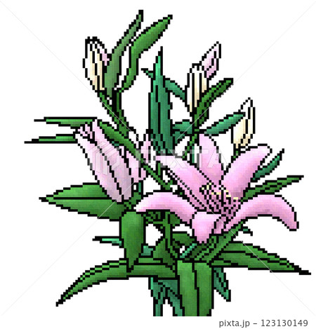ユリの花 123130149
