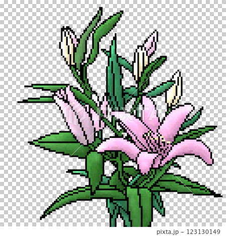 ユリの花 123130149
