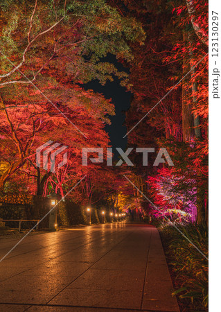 袋井市にある法多山尊永寺の紅葉ライトアップの風景(静岡県) 123130297