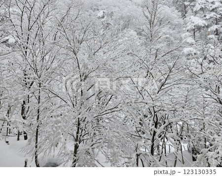 湯西川温泉に降る雪と樹氷の風景 123130335