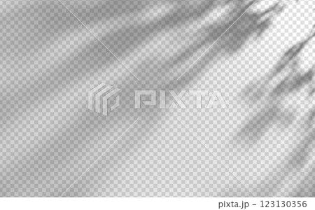 Abstract shadow overlay from foliage on a transparent background. 123130356