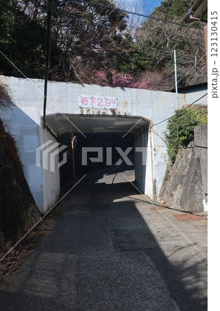伊豆半島稲取の素戔嗚神社への道 123130415