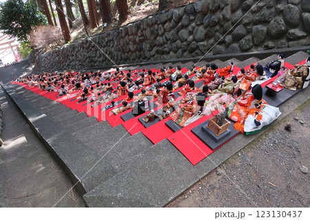 伊豆半島　素戔嗚神社のひな段飾り 123130437