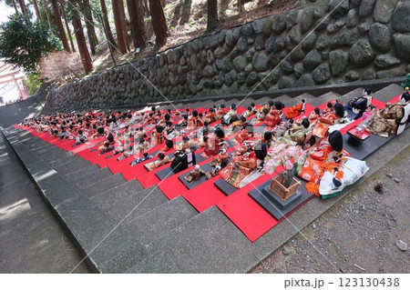 伊豆半島　素戔嗚神社のひな段飾り 123130438