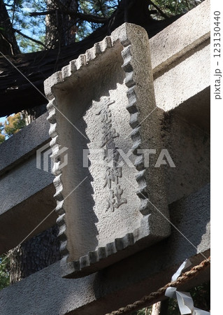 伊豆半島素戔嗚神社 123130440