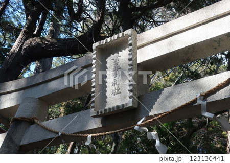 伊豆半島素戔嗚神社 伊豆半島素戔嗚神社 123130441