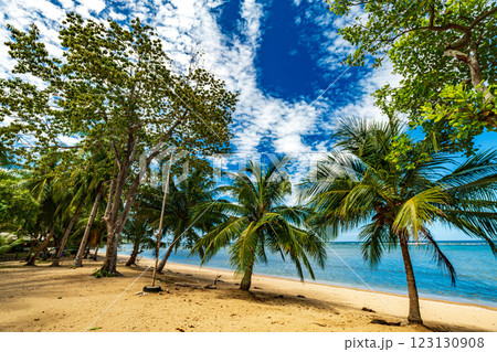 南国リゾート 南国リゾート 123130908