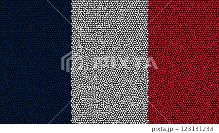France flag in an abstract mosaic style, creative geometric tile patterns. 123131238