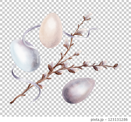 Easter composition with Chicken paint eggs and willow branches and ribbon. Symbols of Easter celebration for card. Watercolor hand drawn pastel color illustration isolated on a white background. 123131286