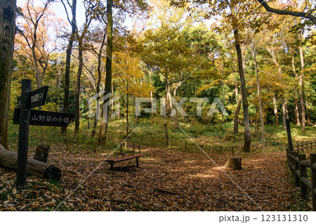 紅葉した木々の間を歩く 123131310