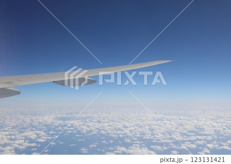 ハエ 飛行 蠅 123131421