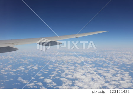 ハエ 飛行 蠅 123131422