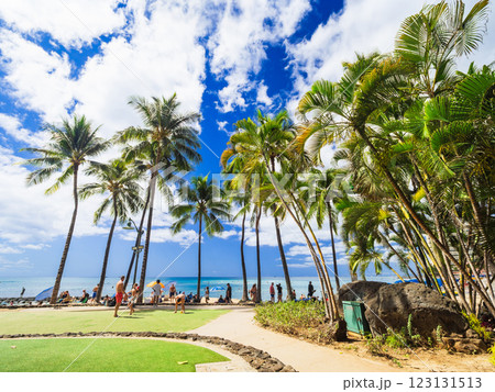 ハワイ　ワイキキビーチ 123131513