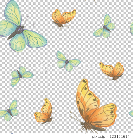 Butterflies watercolor illustration. Seamless pattern on white background 123131614